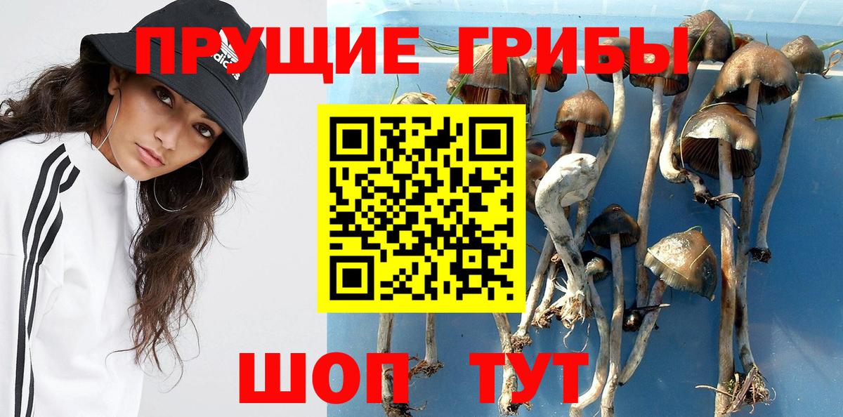 Псилоцибиновые грибы Psilocybe  Вход с VPN  Туймазы 